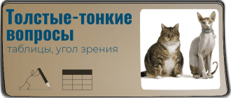 tolstye_tonkie_voprosy_tablica