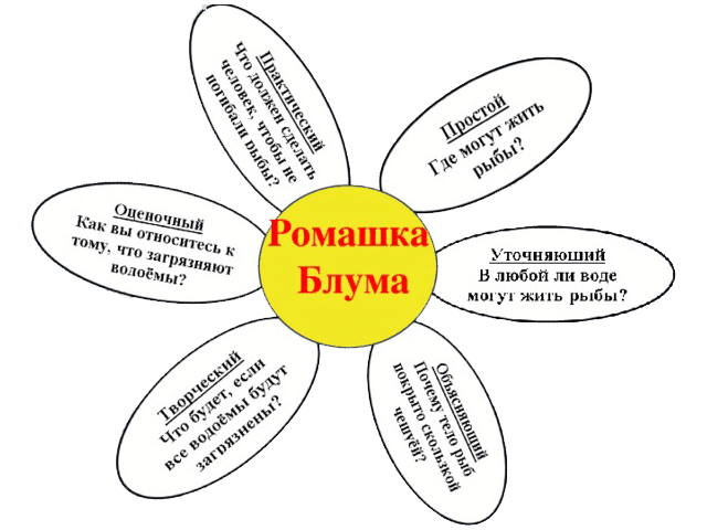 romashka_bluma
